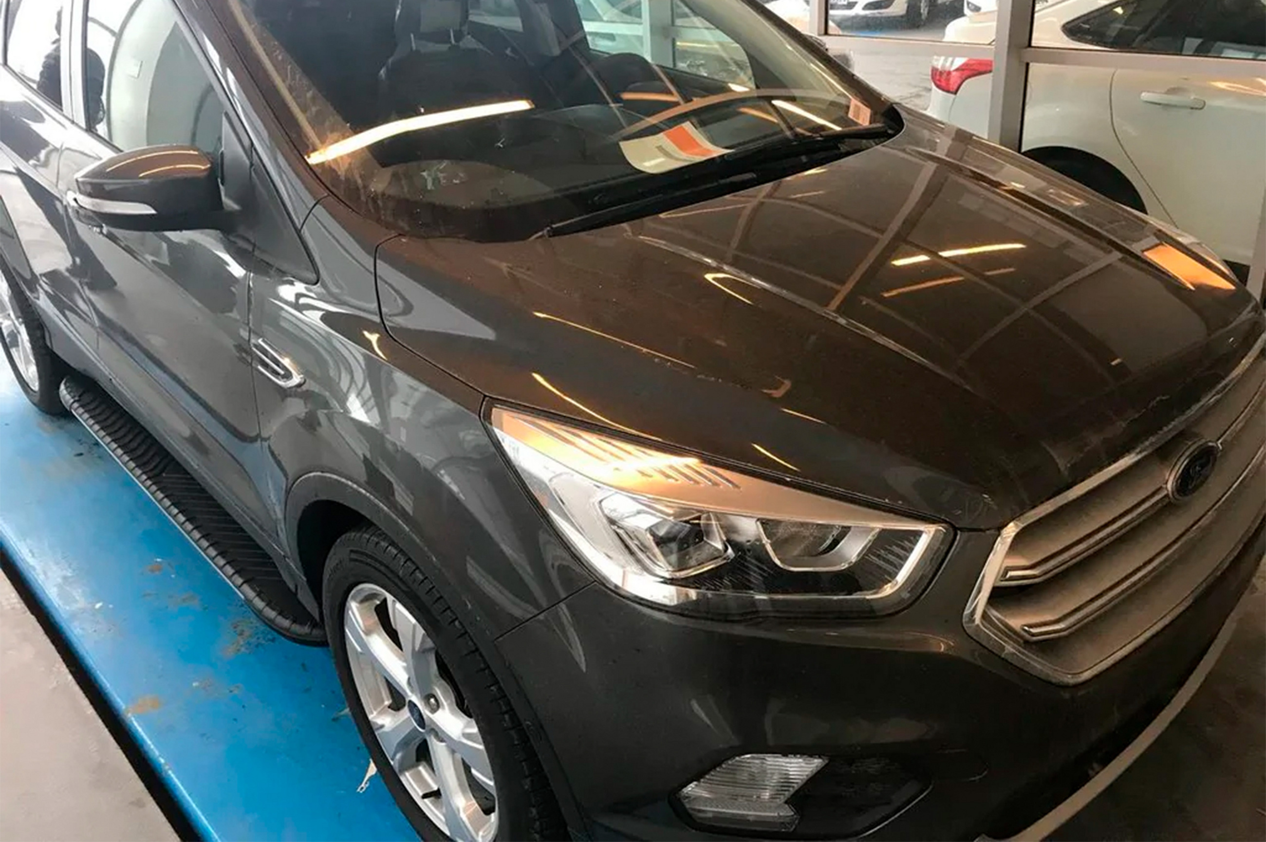 Бокові пороги Bosphorus Grey (2 шт., Алюміній) З пофарбованим листям на дверях 3