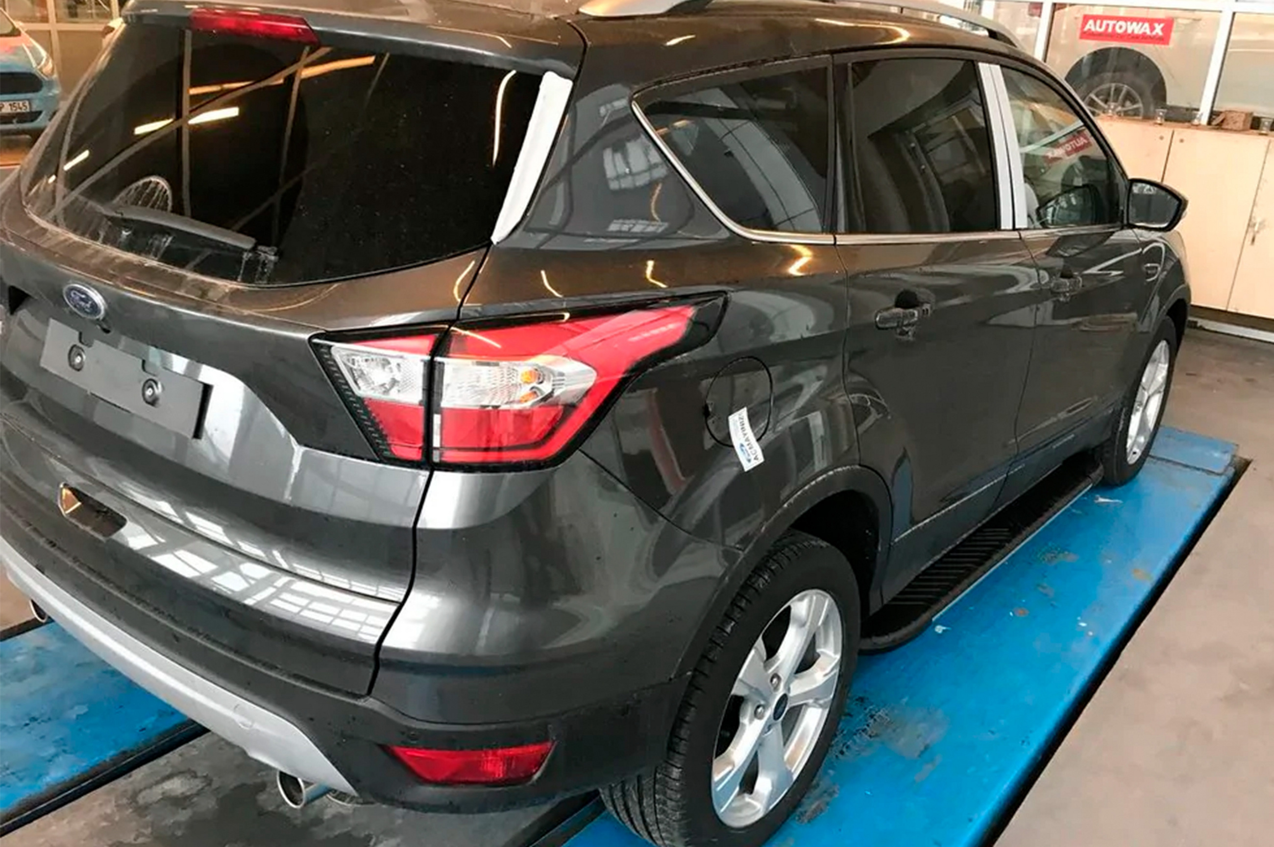 Бокові пороги Bosphorus Grey (2 шт., Алюміній) З пофарбованим листям на дверях 6