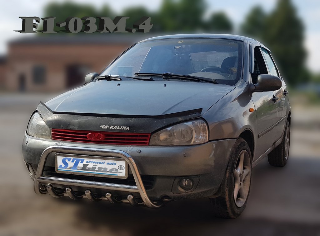 Кенгурятник WT003 (42мм, нерж) 3