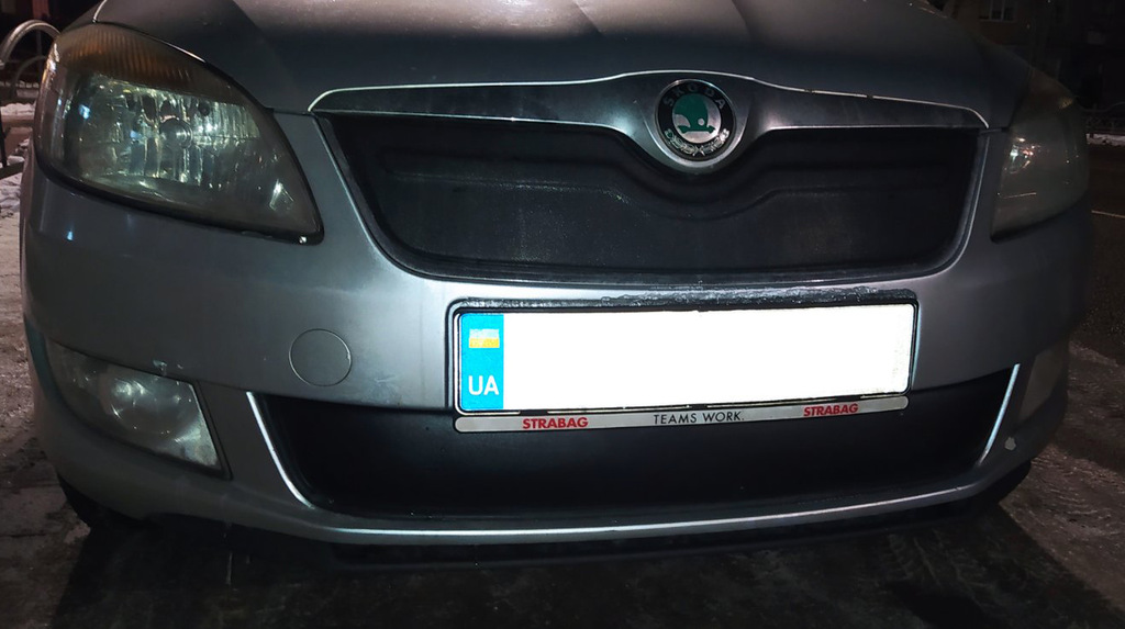 Зимова накладка на решітку (2011-2014, верхня) Глянцева 2