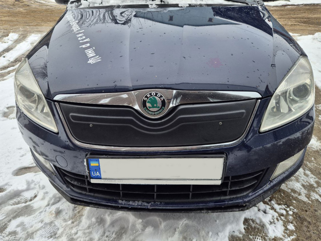 Зимова накладка на решітку (2010+, верхня) Глянцева 3