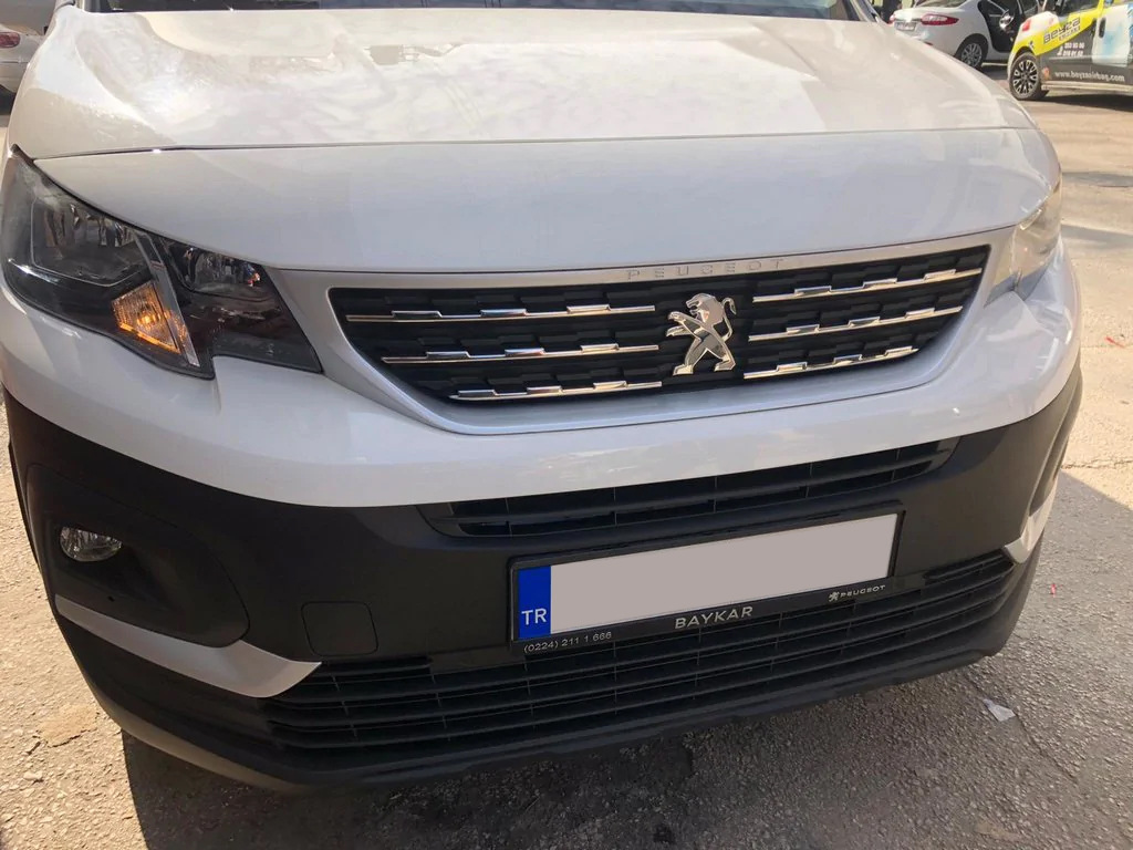 Накладки на решітку (нерж.) OmsaLine - Італійська нержавійка 5