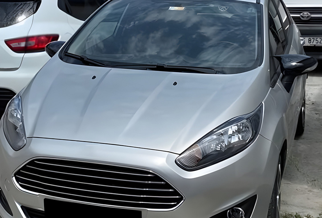 Накладки на дзеркала BMW-Style (2 шт) 3